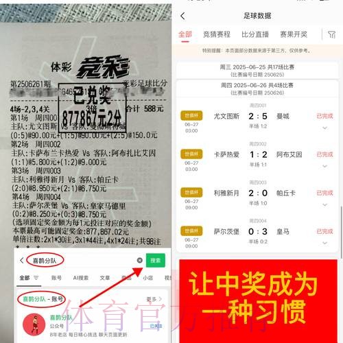 如何选择最优世界杯下注平台